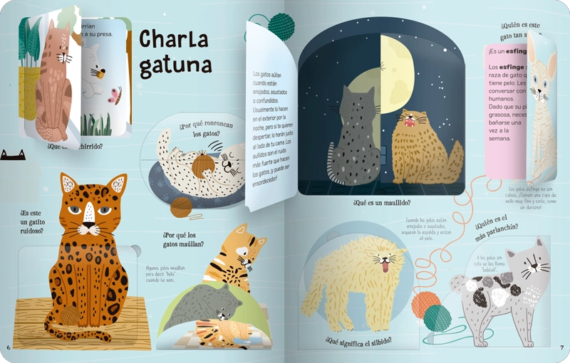 LIBRO INFANTIL LOCOS POR LOS GATOS HANNAH PORTER - 7