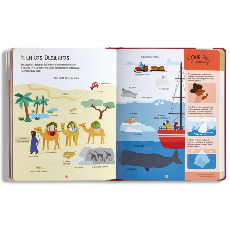 LIBRO INFANTIL BIBLIOTECA PARA MENTES CURIOSAS - LA TIERRA CECILE BENOSIT - 3