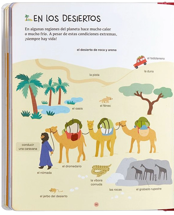LIBRO INFANTIL BIBLIOTECA PARA MENTES CURIOSAS - LA TIERRA CECILE BENOSIT - 8