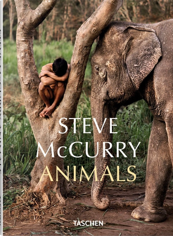 LIBRO ANIMALS STEVE MCCURRY - 6