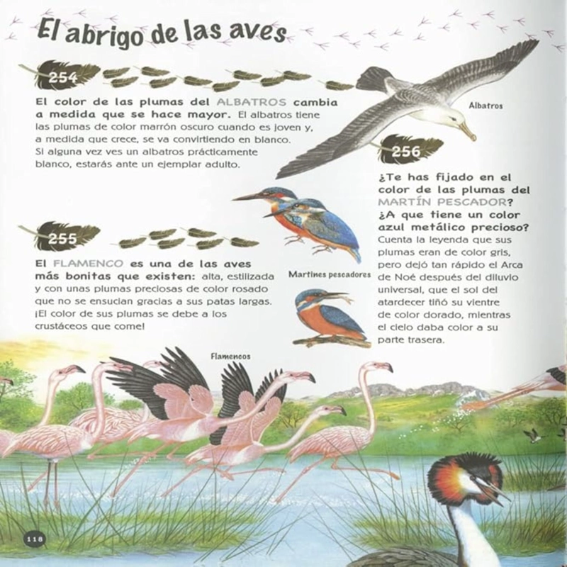 501 PREGUNTAS Y RESPUESTAS SOBRE LOS ANIMALES - 2