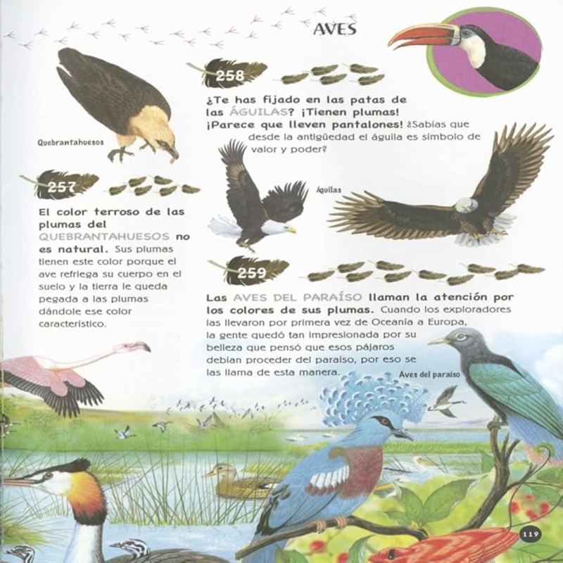 501 PREGUNTAS Y RESPUESTAS SOBRE LOS ANIMALES - 3