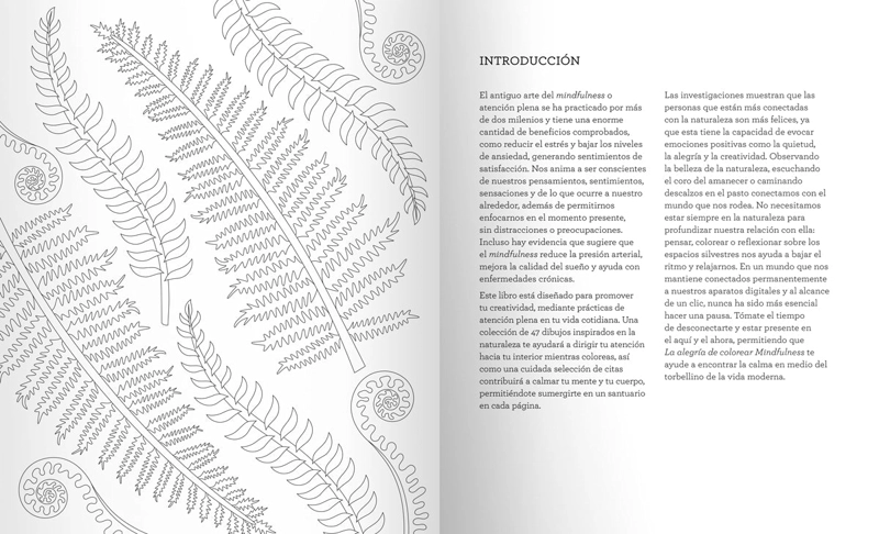 LA ALEGRIA DE COLOREAR MINDFULNESS - 7