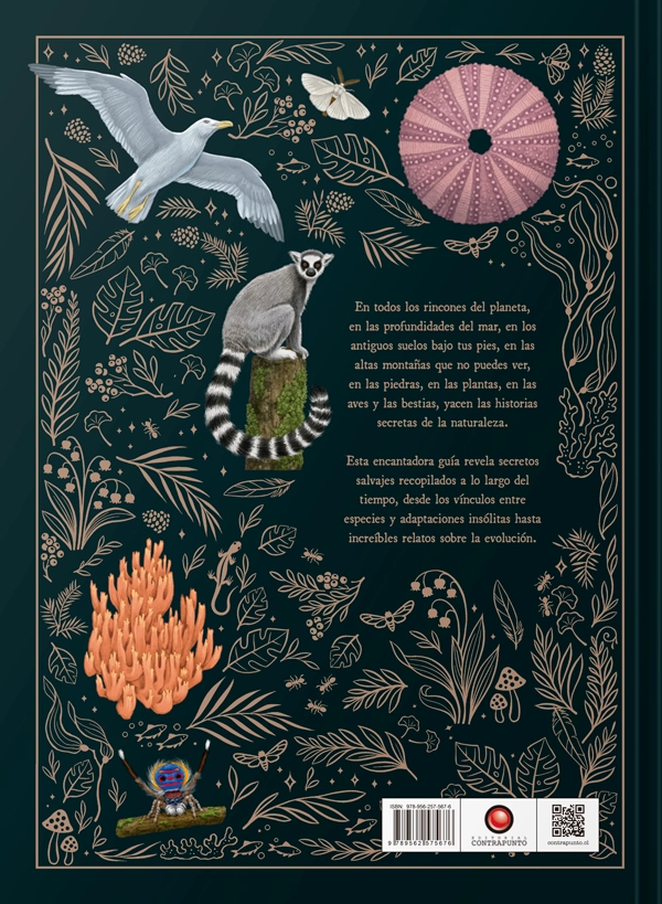 HISTORIAS SECRETAS DE LA NATURALEZA - 6