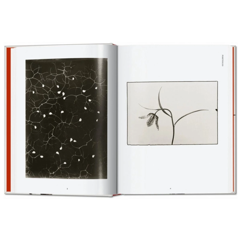 KARL BLOSSFELDT. THE COMPLETE PUBLISHED WORK. 40TH ED. - 3