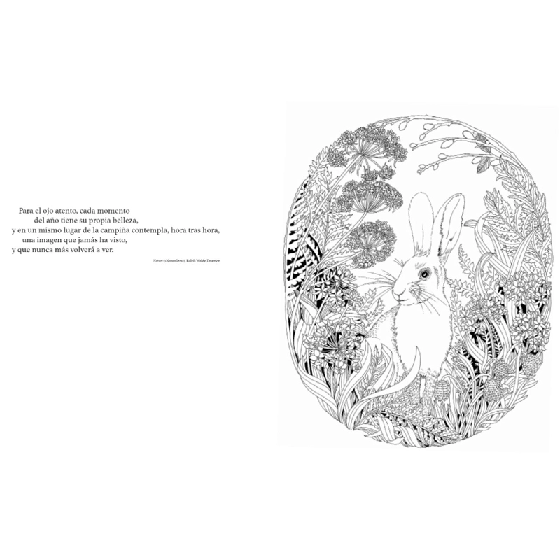 PASEO POR EL BOSQUE DE EDITORIAL BLUME - 2