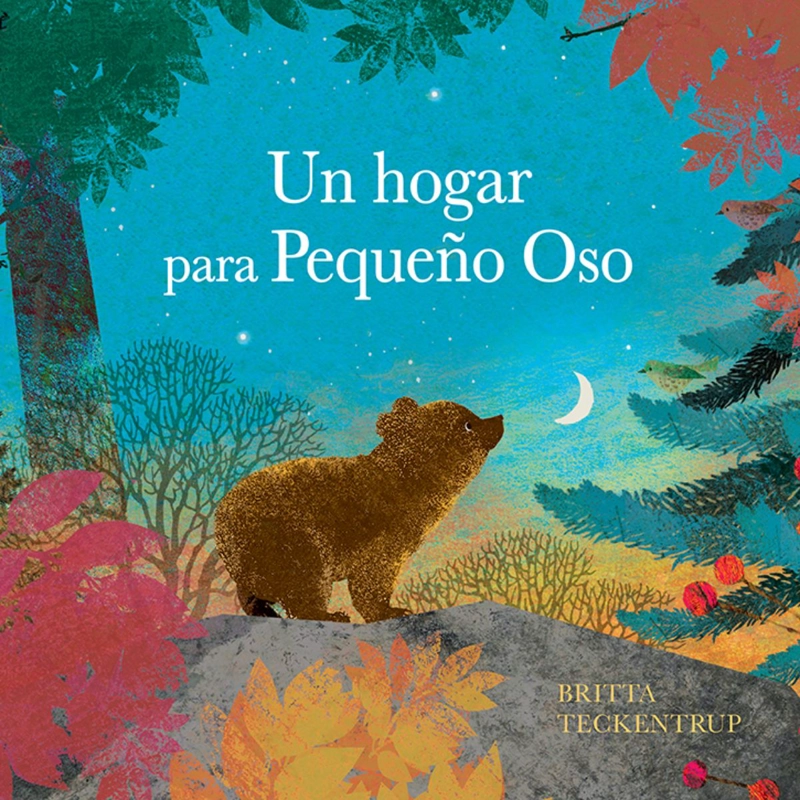 UN HOGAR PARA PEQUEÑO OSO - 1
