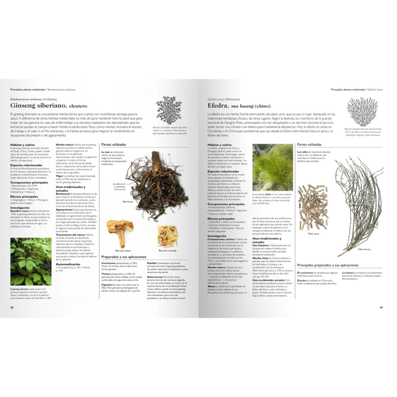 ENCICLOPEDIA DE PLANTAS MEDICINALES - 3