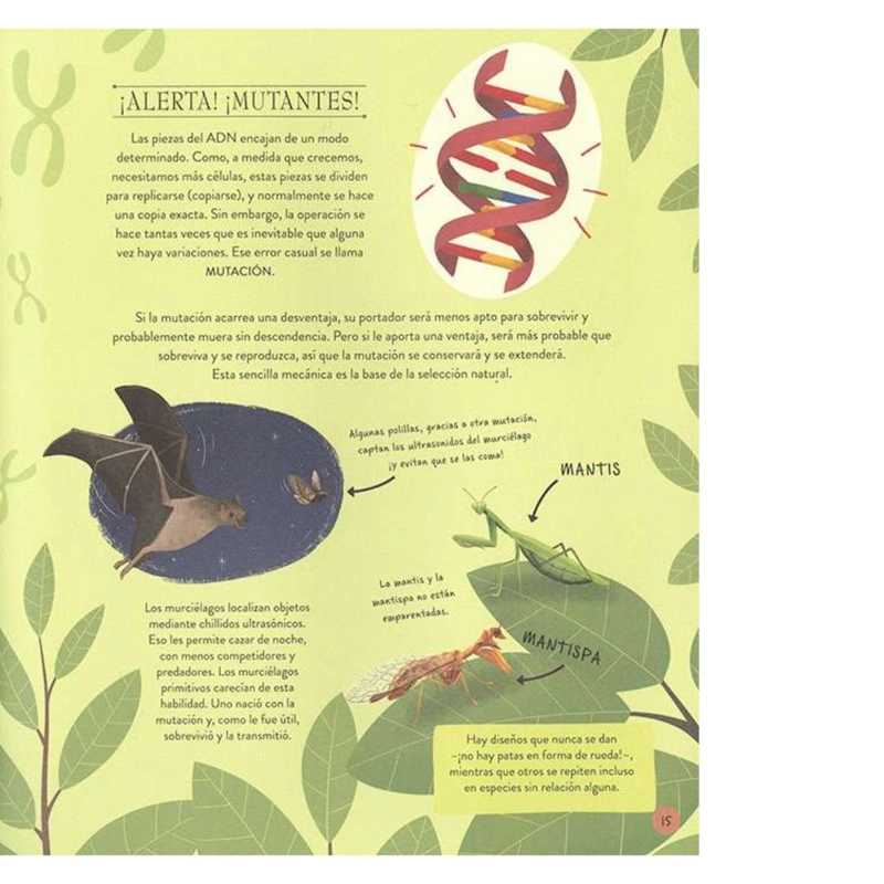 LA EVOLUCION DE LA VIDA EN LA TIERRA - 3