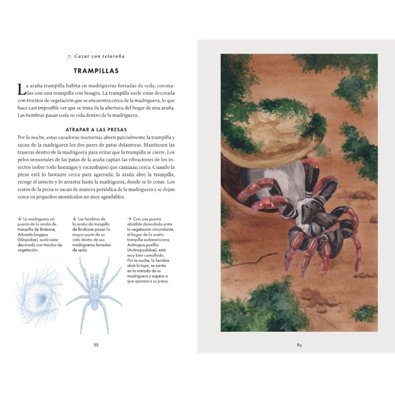 ARAÑAS - PEQUEÑO LIBRO DE LA NATURALEZA. - 3