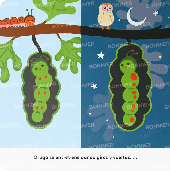 PEQUEÑOS CICLOS DE LA VIDA - ORUGA - 2