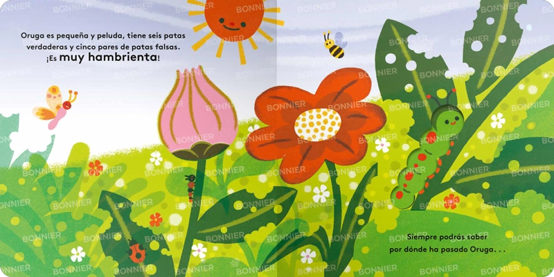 PEQUEÑOS CICLOS DE LA VIDA - ORUGA - 3