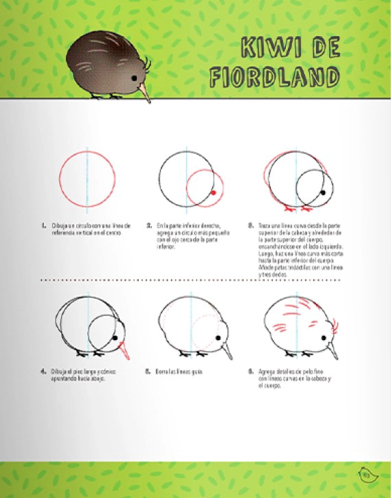 APRENDE A DIBUJAR - PAJARITOS KAWAII - 5