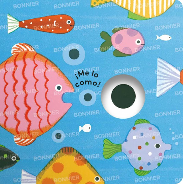 PEQUEÑOS CICLOS DE LA VIDA - RANA - 2