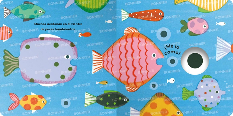 PEQUEÑOS CICLOS DE LA VIDA - RANA - 3
