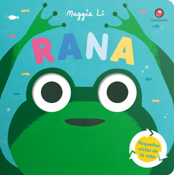 PEQUEÑOS CICLOS DE LA VIDA - RANA - 6
