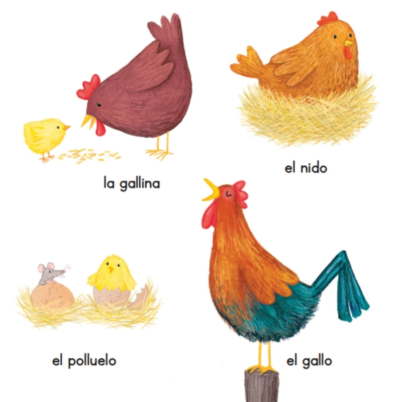 EN LA GRANJA - UN CUENTO PARA MIRAR, TOCAR Y SENTIR - 3