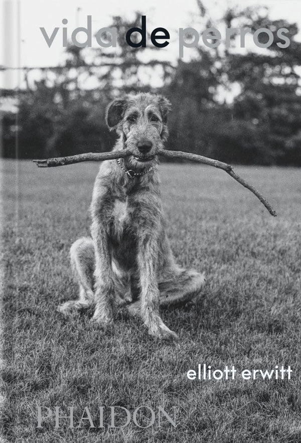 VIDA DE PERROS DE EDITORIAL PHAIDON - 5