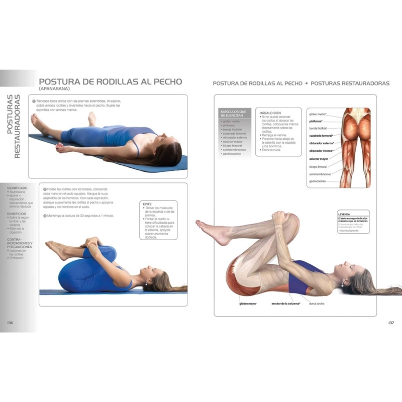 YOGA PARA PRINCIPIANTES - 5