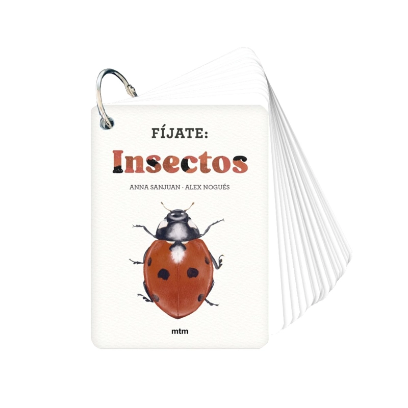 FIJATE: INSECTOS DE EDITORIAL MTM - 1