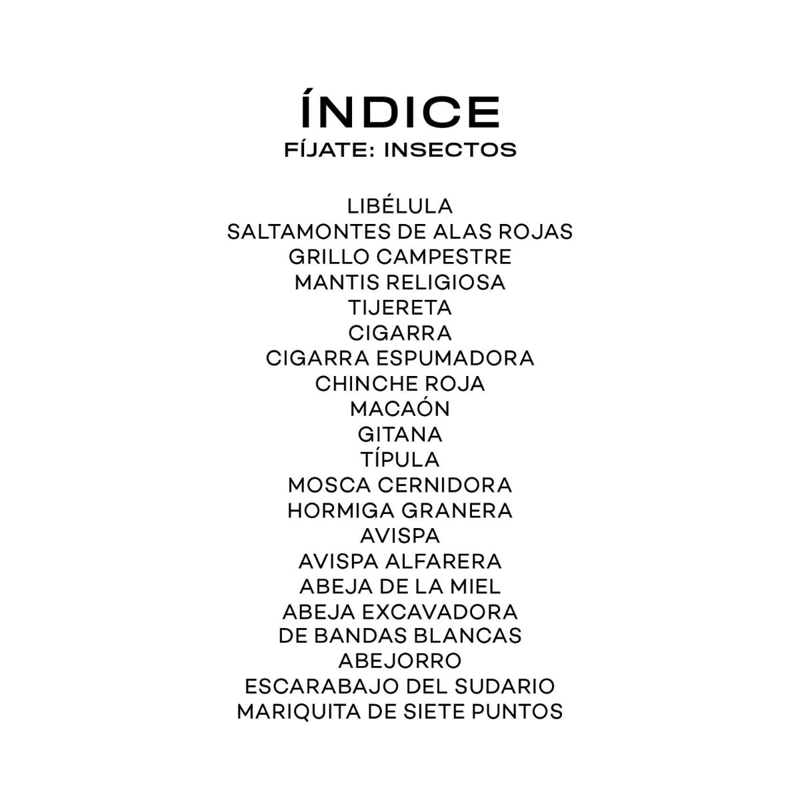 FIJATE: INSECTOS DE EDITORIAL MTM - 2