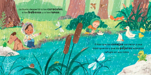 VEO UNA NUBE. CIENCIA PARA NIÑOS - 7