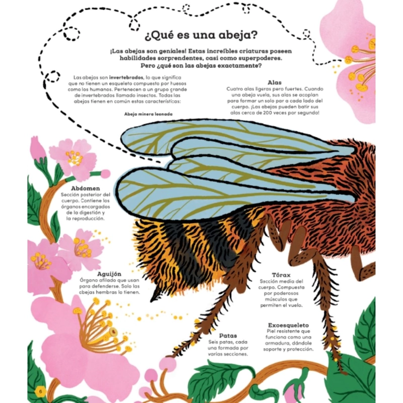 NUESTRAS AMIGAS LAS ABEJAS - 2