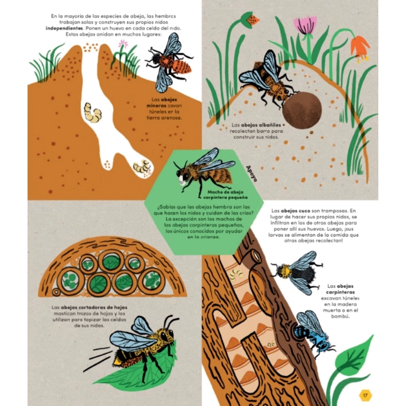 NUESTRAS AMIGAS LAS ABEJAS - 4