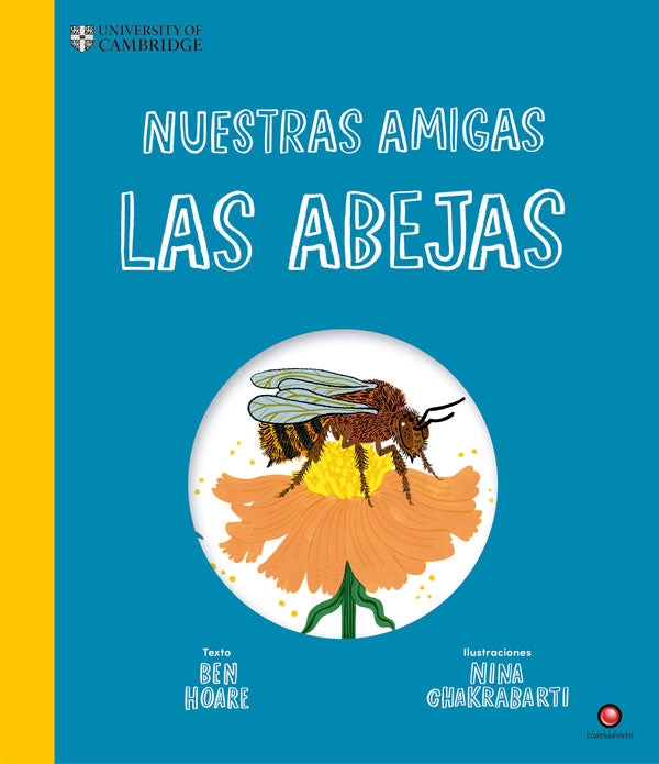 NUESTRAS AMIGAS LAS ABEJAS - 6