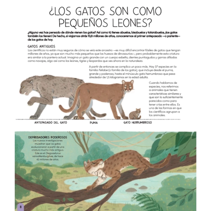UN MUNDO DE GATOS DE EDITORIAL CONTRAPUNTO - 2