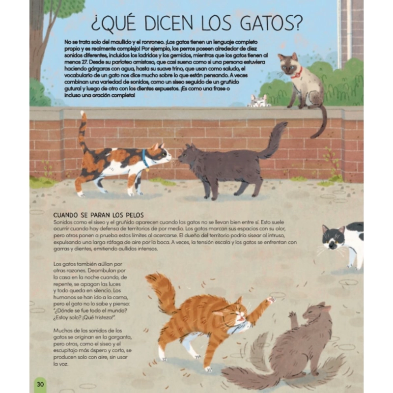 UN MUNDO DE GATOS DE EDITORIAL CONTRAPUNTO - 3