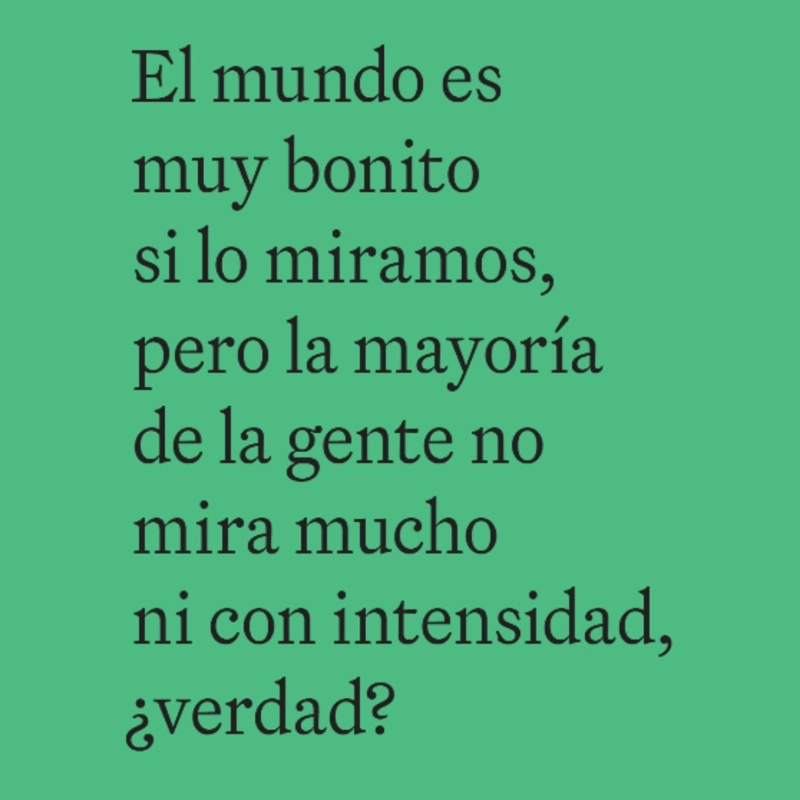 EL MUNDO SEGUN DAVID HOCKNEY - 3
