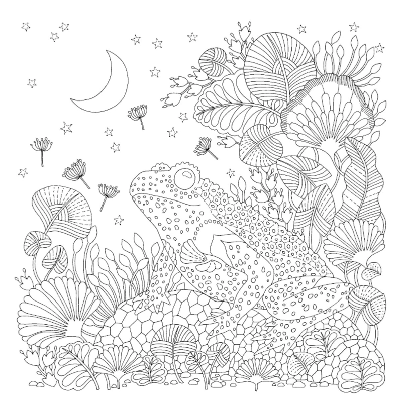 UN PLANETA PRECIOSO DE EDITORIAL BLUME - 2