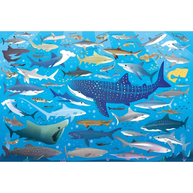 TIBURONES - 2