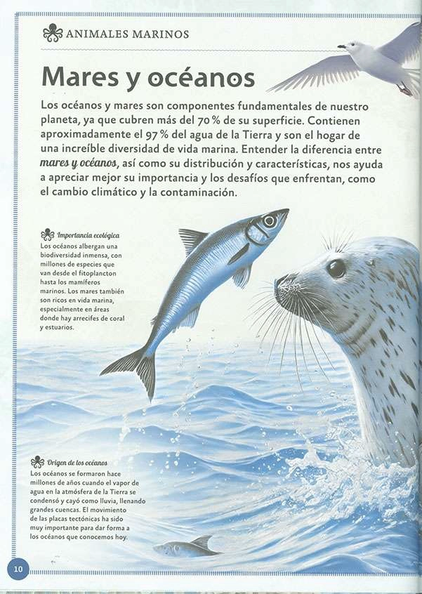 EL MAGNIFICO LIBRO DE LOS ANIMALES MARINOS - 2