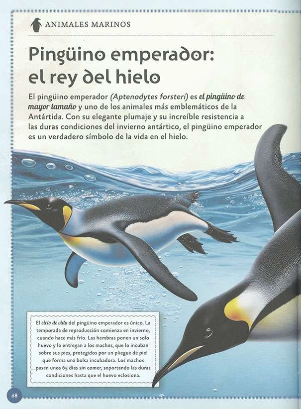 EL MAGNIFICO LIBRO DE LOS ANIMALES MARINOS - 3