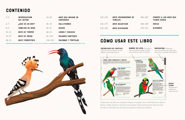 ENCICLOPEDIA DE LAS AVES - 7