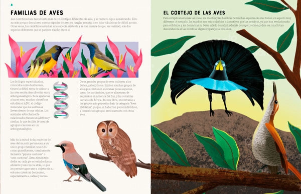 ENCICLOPEDIA DE LAS AVES - 8
