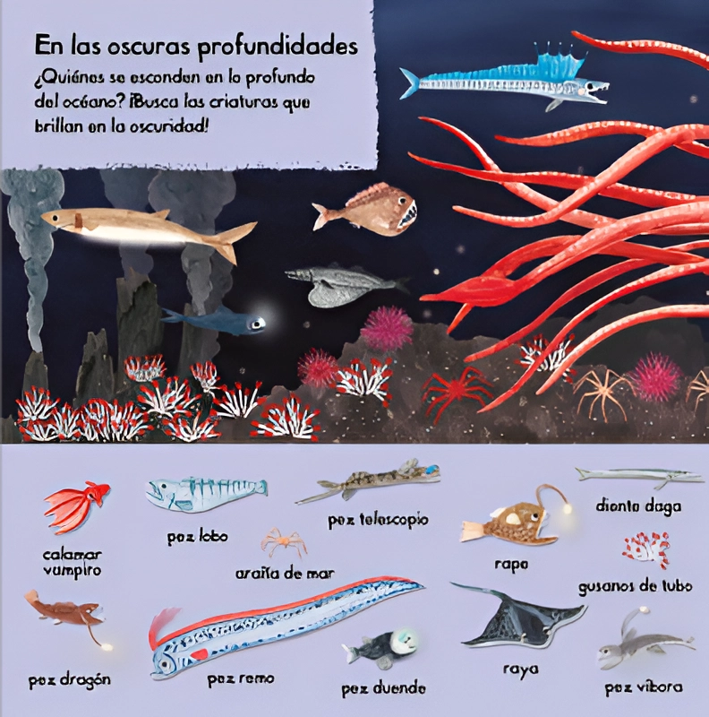 101 CRIATURAS MARINAS PARA DESCUBRIR - 2