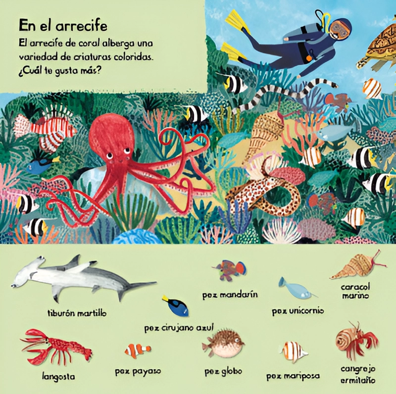 101 CRIATURAS MARINAS PARA DESCUBRIR - 3
