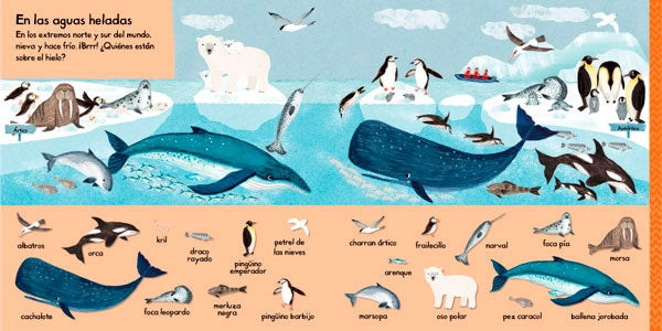 101 CRIATURAS MARINAS PARA DESCUBRIR - 6