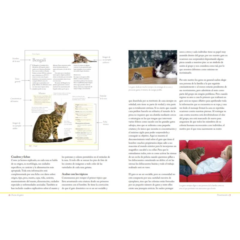 ENCICLOPEDIA DE LAS RAZAS DE GATOS - 3