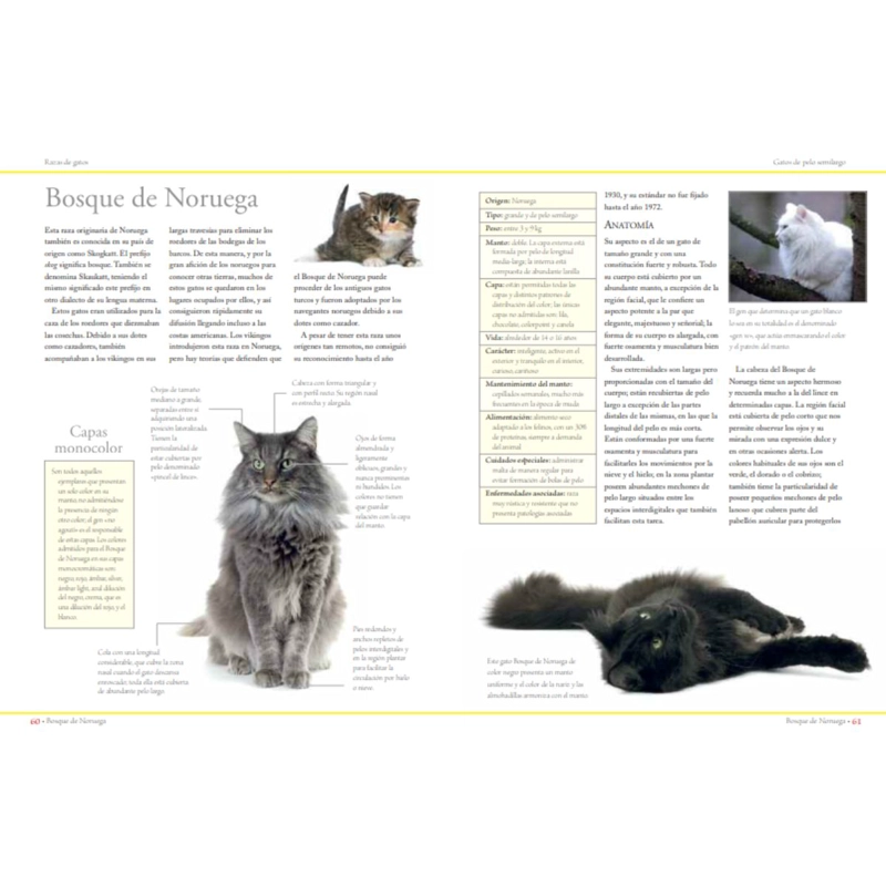ENCICLOPEDIA DE LAS RAZAS DE GATOS - 4