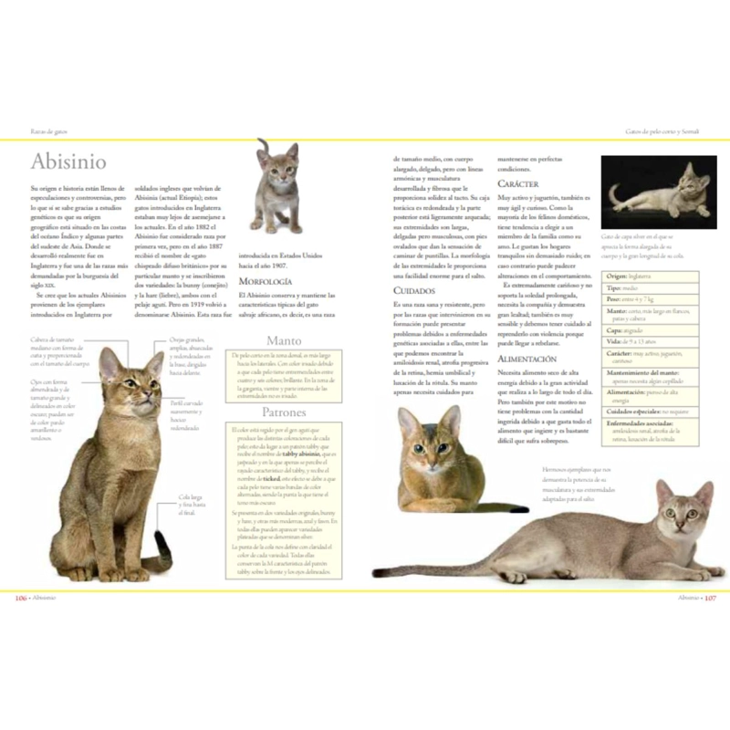 ENCICLOPEDIA DE LAS RAZAS DE GATOS - 5