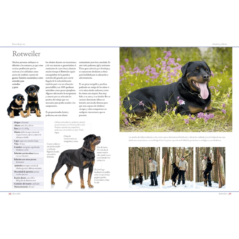ENCICLOPEDIA DE LAS RAZAS DE PERROS - 3