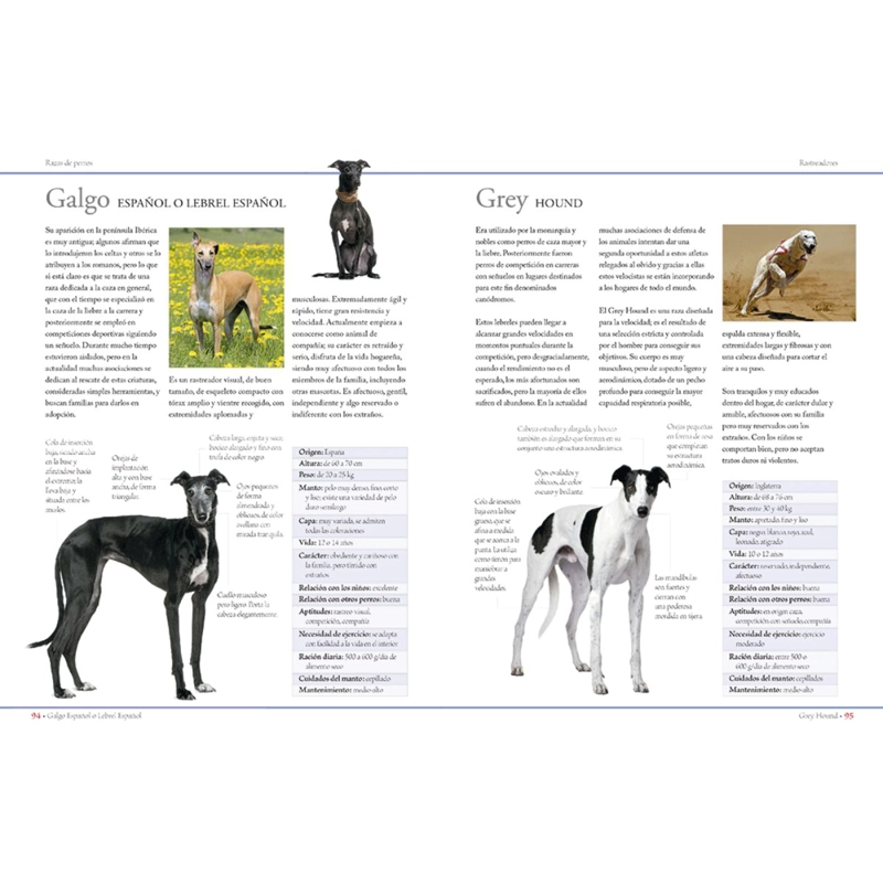 ENCICLOPEDIA DE LAS RAZAS DE PERROS - 4