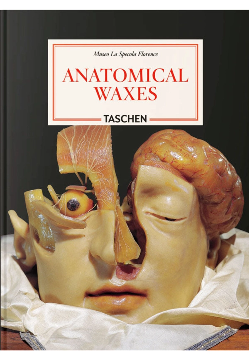 ANATOMICAL WAXES. 45TH ED. - 1