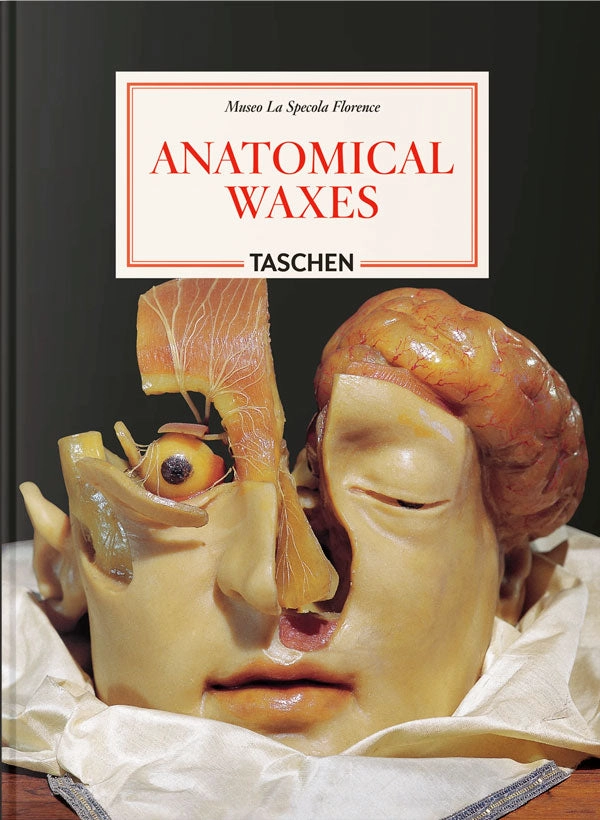 ANATOMICAL WAXES. 45TH ED. - 5