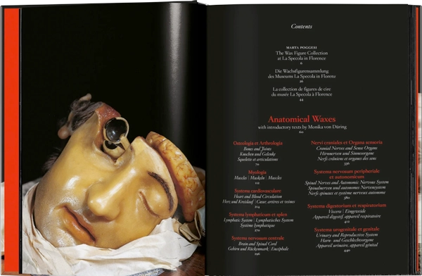 ANATOMICAL WAXES. 45TH ED. - 6