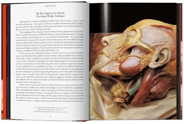 ANATOMICAL WAXES. 45TH ED. - 7